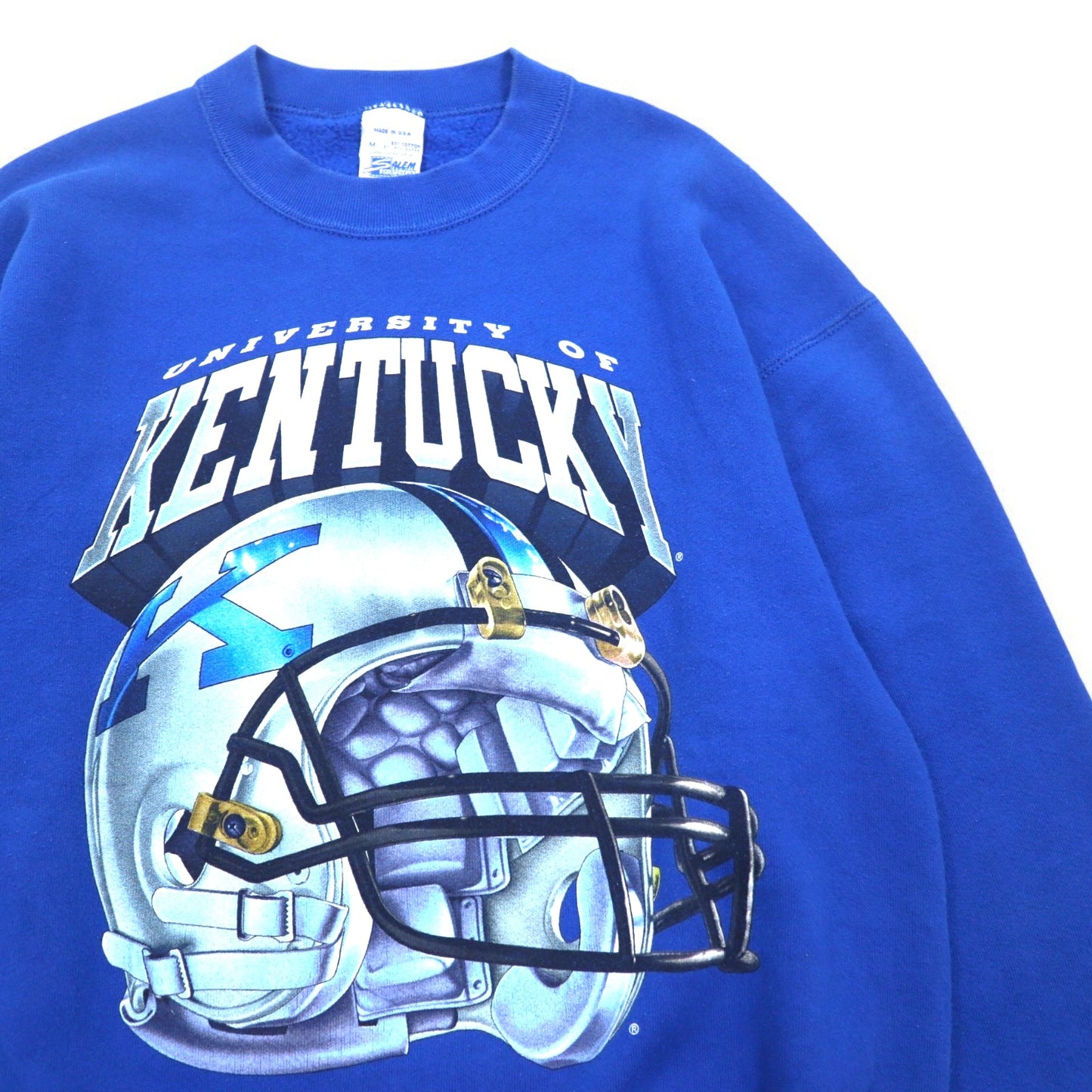 USA製 90年代 SALEM SPORTSWEAR プリント スウェット M ブルー KENTUCKY 裏起毛