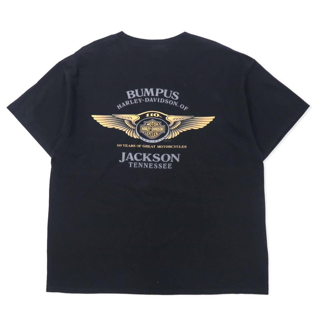 HARLEY DAVIDSON Logo Print T-Shirt Pocket Tee XL Black Cotton HANES BEEFY-T 110th ANNIVERSARY Big Size