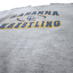 M.J. SOFFE USA製 90年代 カレッジ プリント スウェット S グレー コットン 前V GAHANNA WRESTLING
