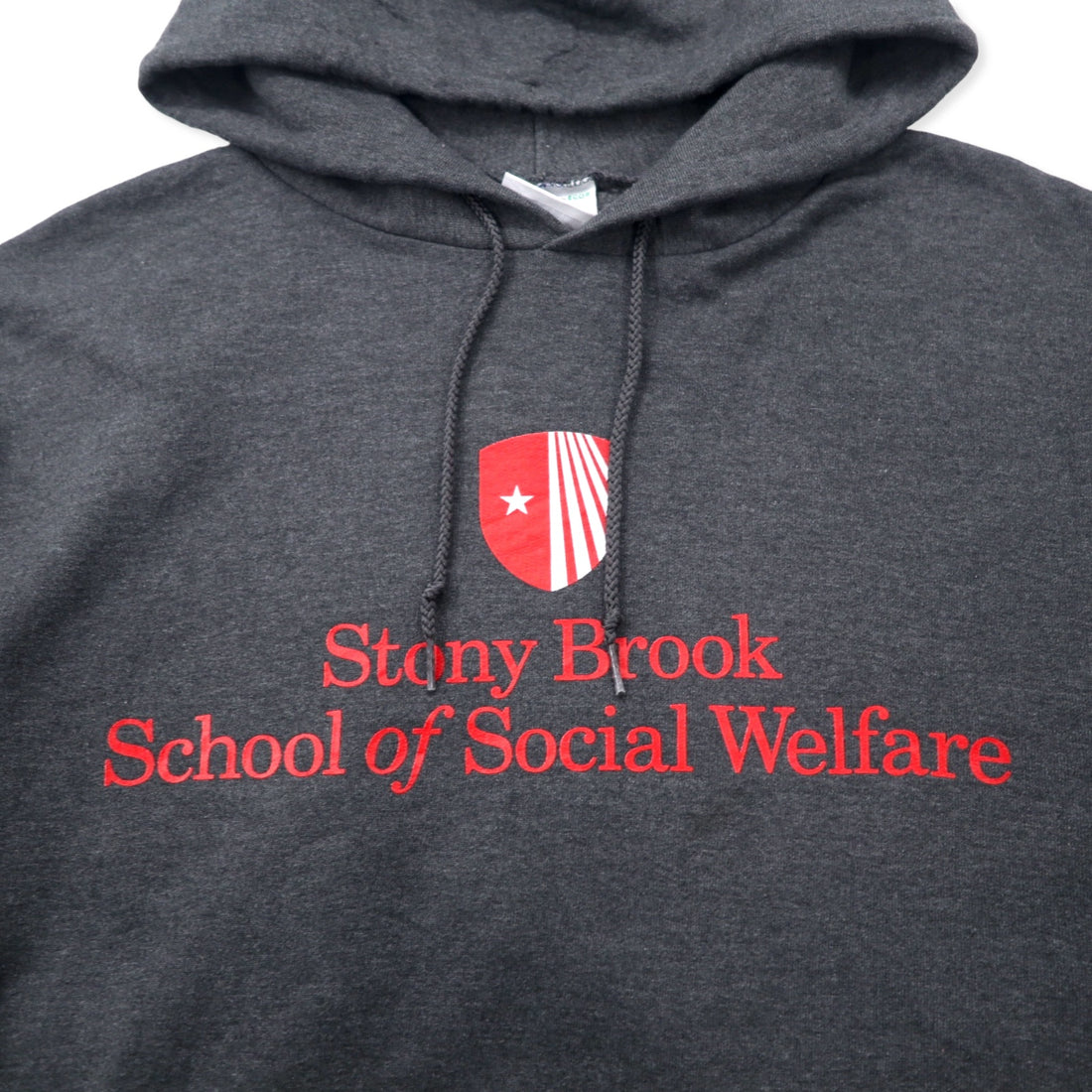 Champion ECO College Pullover Parka L Gray Cotton Brushed Lining Stony Brook School of Social Welfare Big Size