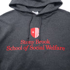 Champion ECO College Pullover Parka L Gray Cotton Brushed Lining Stony Brook School of Social Welfare Big Size