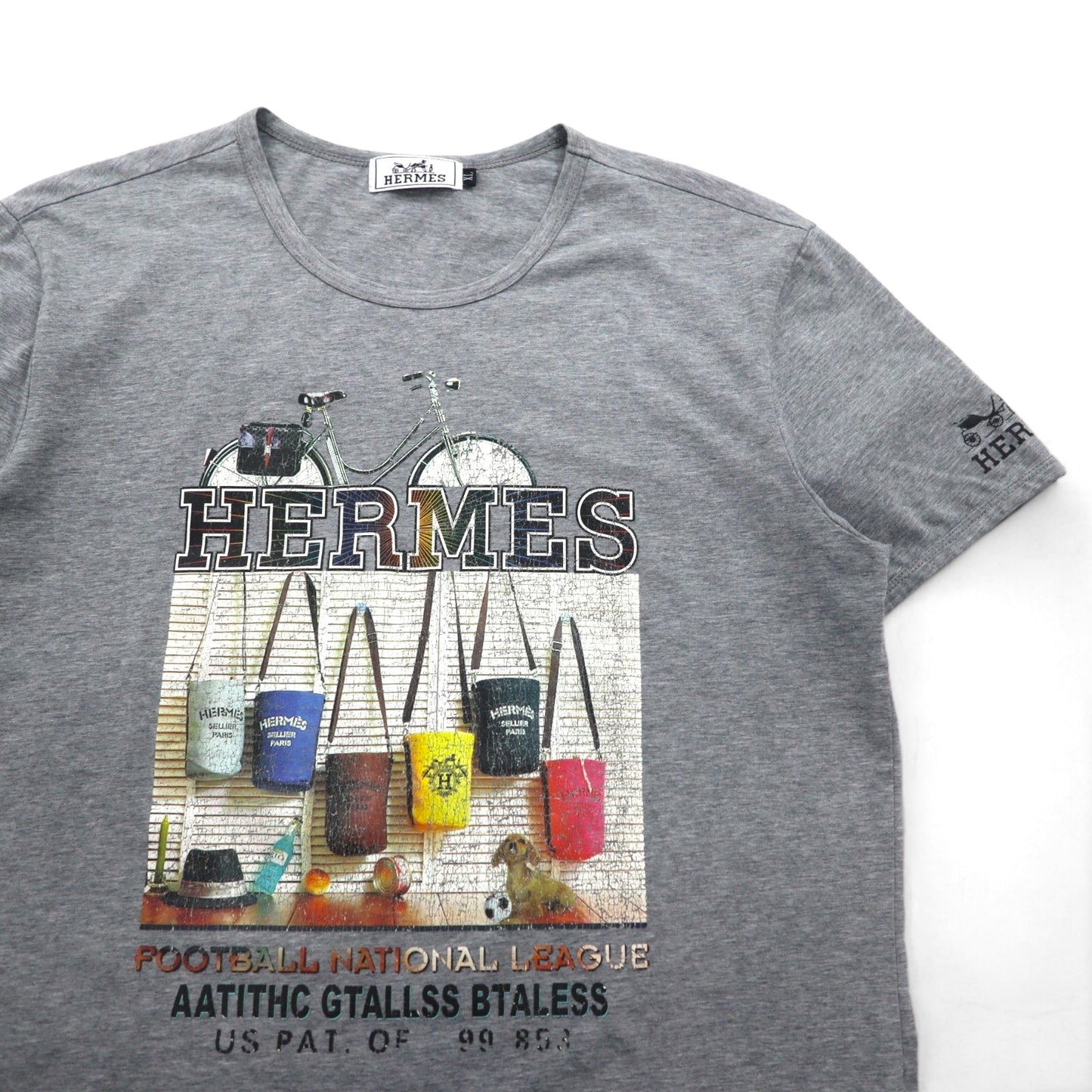 HERMES イタリア製 フォトグラフィック プリント Tシャツ XL グレー コットン ALINE