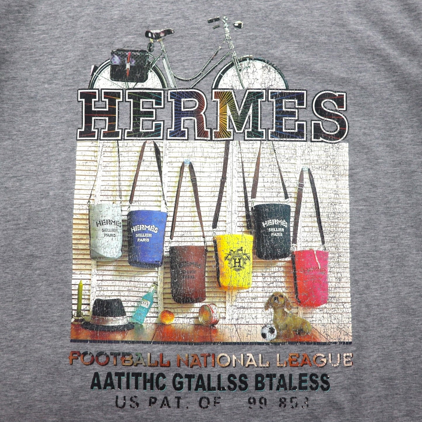 HERMES イタリア製 フォトグラフィック プリント Tシャツ XL グレー コットン ALINE