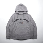 RLX Ralph Lauren Reverse Weave Hoodie, Size L, Gray, Arch Logo, ASPEN MOUNTAIN