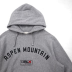 RLX Ralph Lauren Reverse Weave Hoodie, Size L, Gray, Arch Logo, ASPEN MOUNTAIN