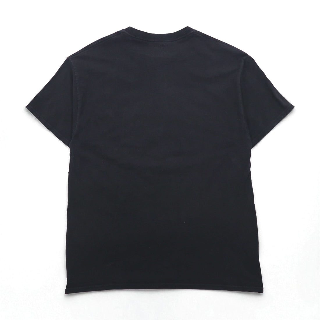 Champion カレッジプリント Tシャツ XL ブラック コットン FLORIDA STATE アーチロゴ