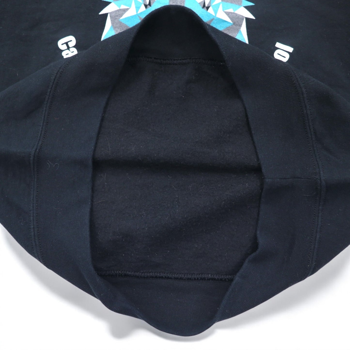 GILDAN クルーネック スウェット S ブラック 裏起毛 アニマル アート プリント Clarence Lobo Elementary