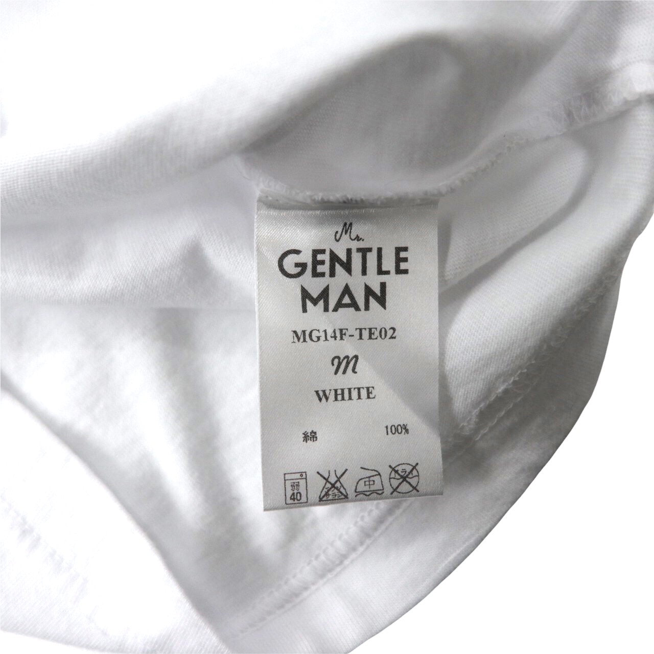 MR.GENTLEMAN Tシャツ M ホワイト コットン HUNTING MOUNTAIN TEE 未使用品