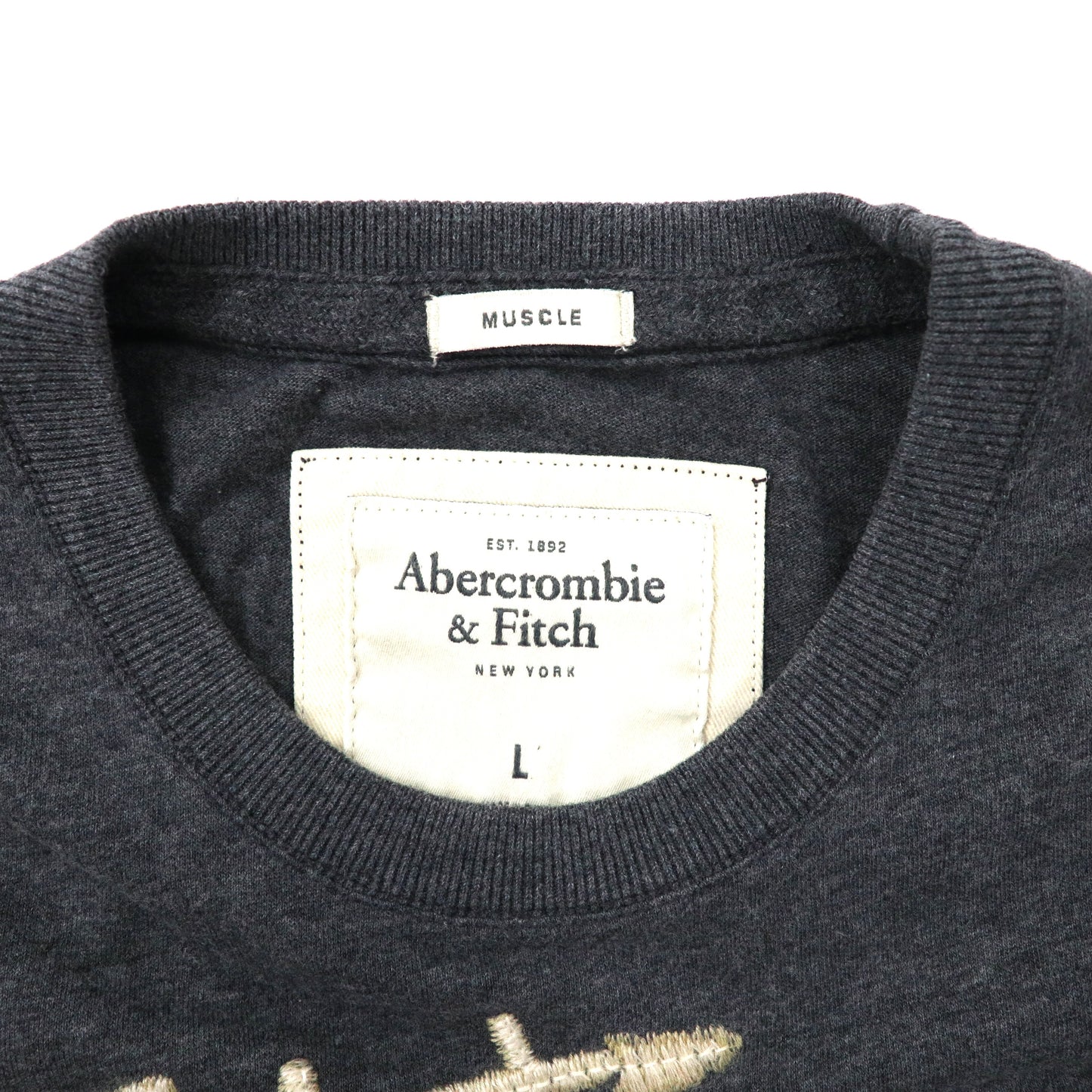 Abercrombie & Fitch ロゴTシャツ L グレー コットン