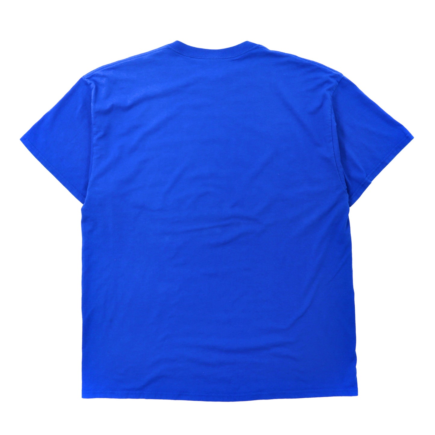 JERZEES Tシャツ 2XL ブルー コットン ビッグサイズ Rio Grande プリント
