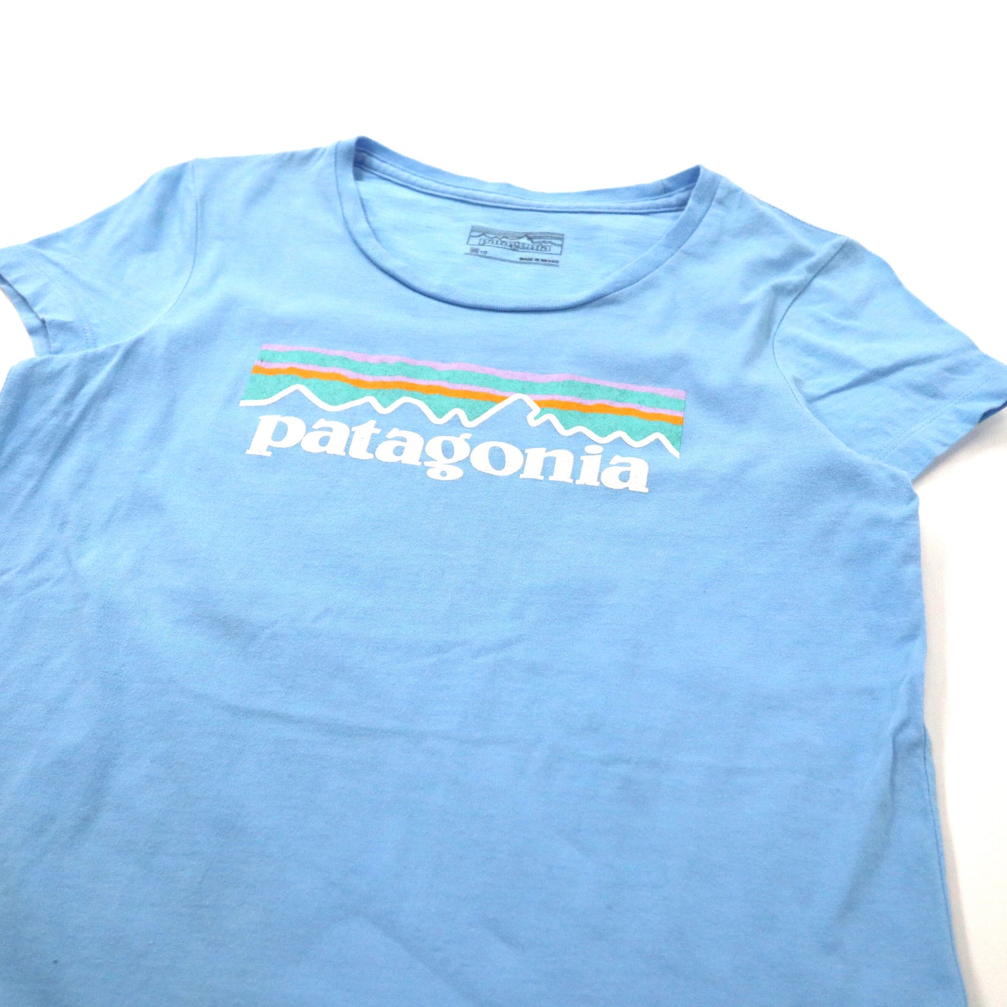 patagonia ロゴプリントTシャツ M ブルー コットン メキシコ製