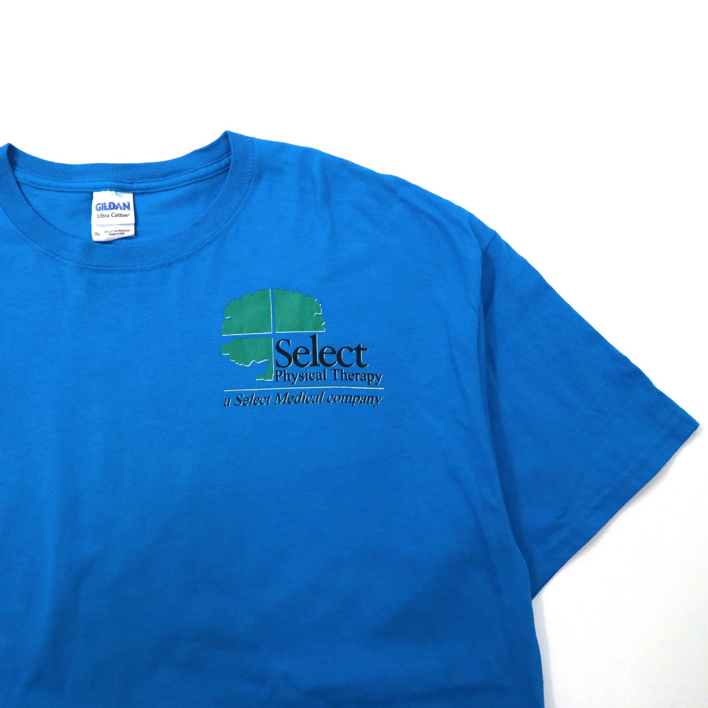 GILDAN ビッグサイズ プリントTシャツ XL ブルー コットン US企業ロゴ Select Physical Therapy
