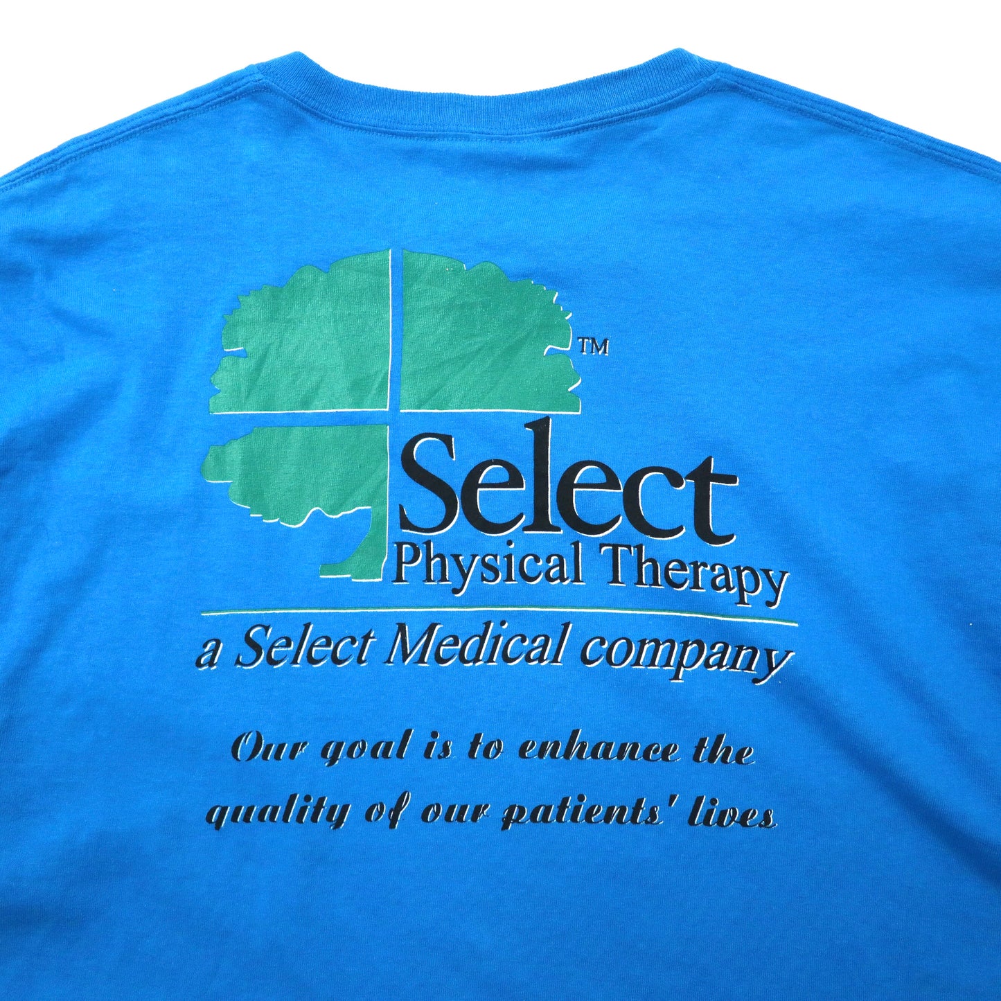 GILDAN ビッグサイズ プリントTシャツ XL ブルー コットン US企業ロゴ Select Physical Therapy