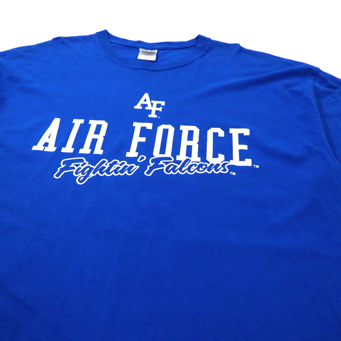 GILDAN ビッグサイズ Tシャツ XL ブルー コットン Royal Air Force Falcons Campus カレッジ