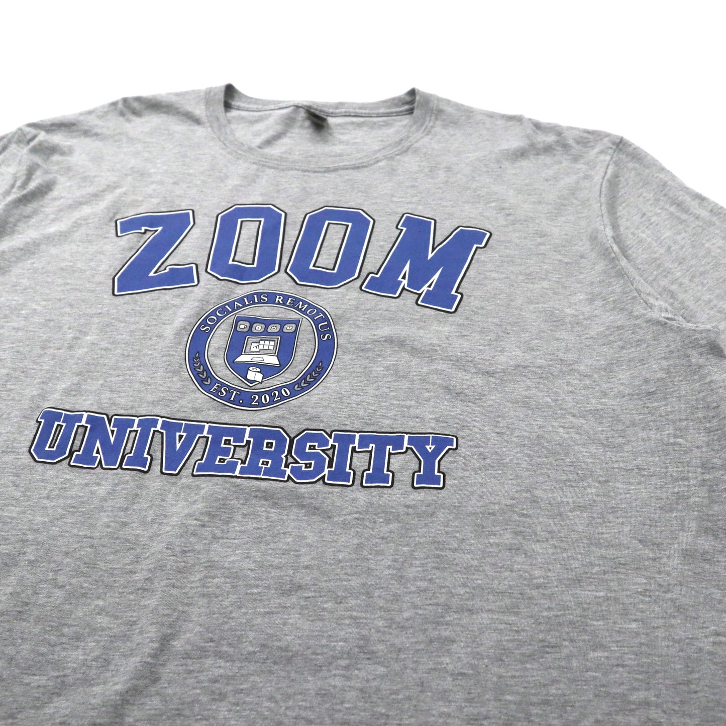 GILDAN ビッグサイズ カレッジTシャツ XL グレー コットン ZOOM UNIVERSITY ホンジュラス製