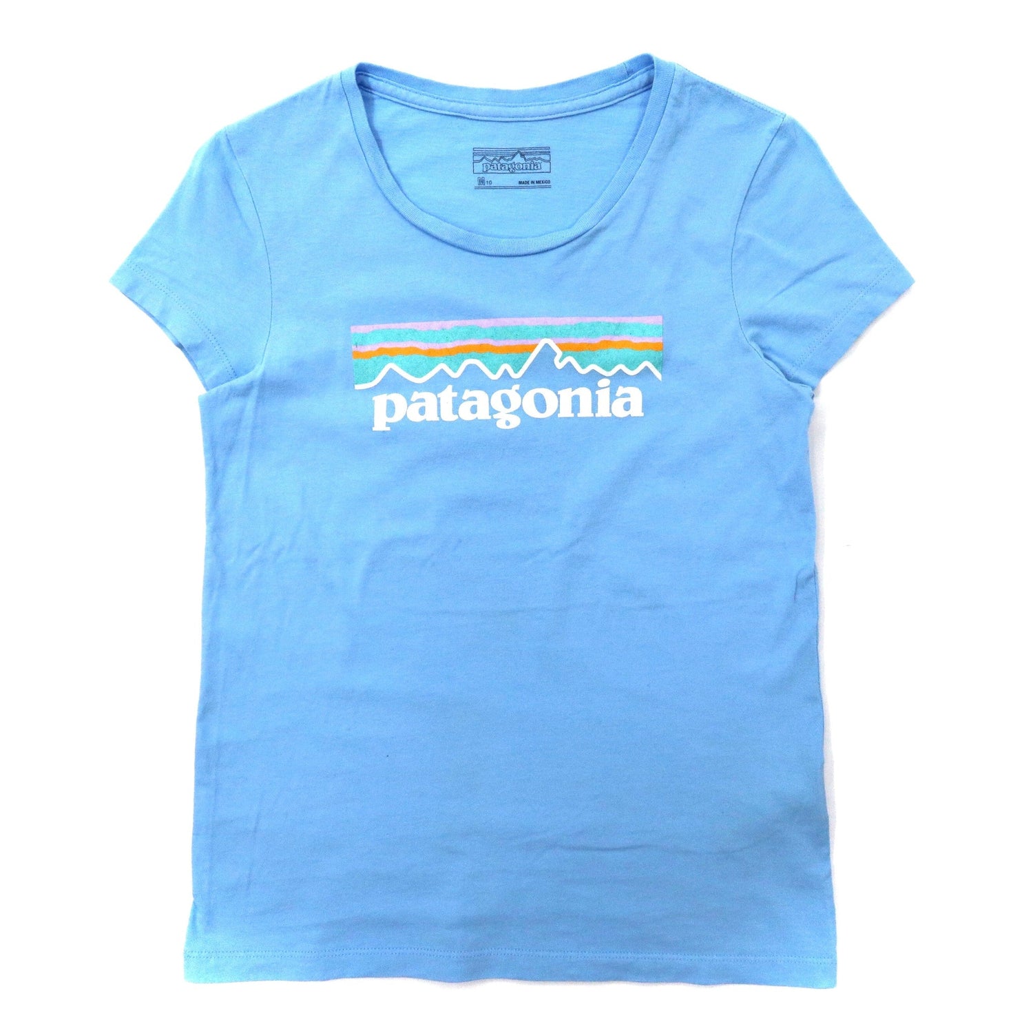 patagonia ロゴプリントTシャツ M ブルー コットン メキシコ製-Patagonia-古着